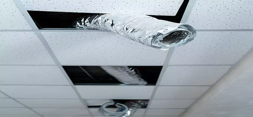 Affordable HVAC Sanitizing After Pest Removal in Monterey Park