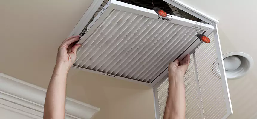 Our Insect Removal from Air Ducts Services in Monterey Park, CA