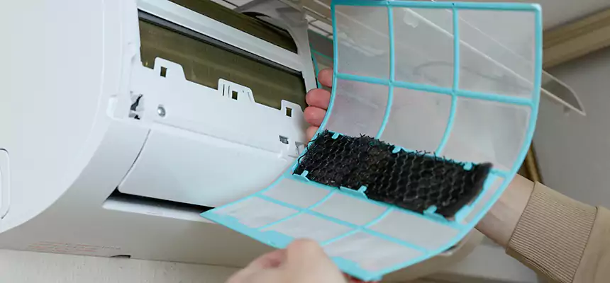 Gentle Ductwork Odor-Control Pet Dander Duct Cleaning in Monterey Park, CA