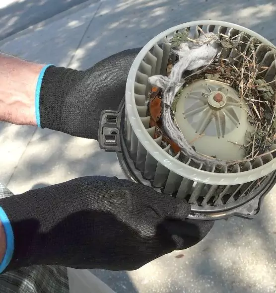 About Air Duct Mice Removal in Monterey Park, CA