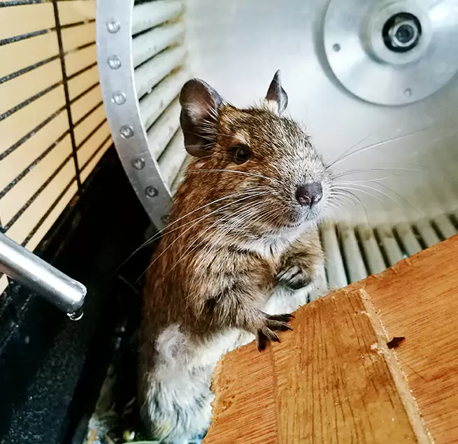 Why Homeowners & Businesses Trust Us Monterey Park, CA