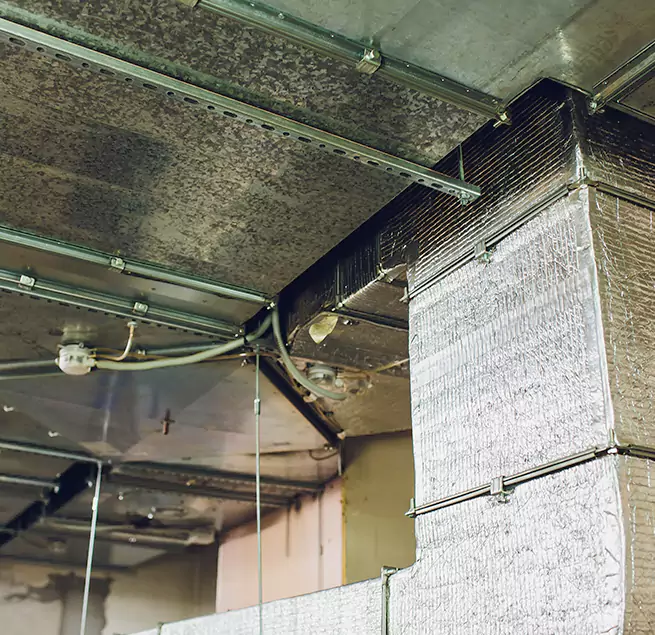 Why Homeowners & Businesses Trust Us in Monterey Park, CA?